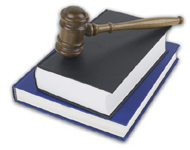 statutory consultant